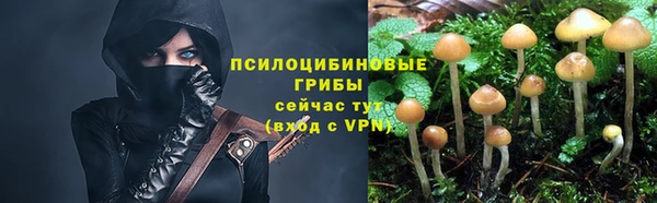 мяу мяу мука Вяземский