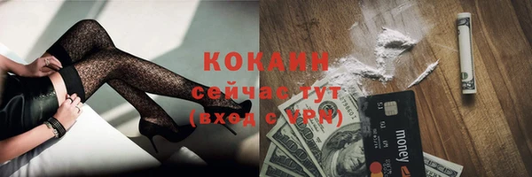 прущий лед Горняк