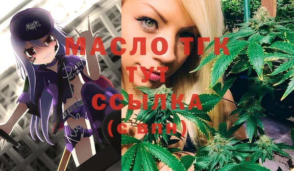 прущий лед Горняк