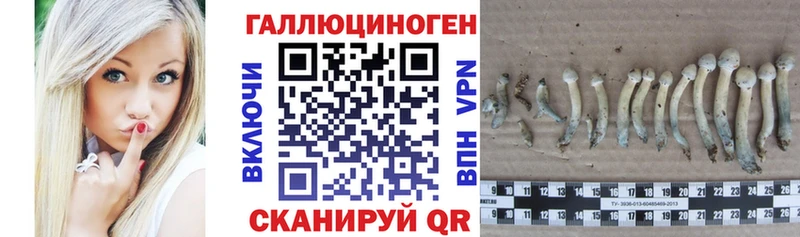 Псилоцибиновые грибы прущие грибы  Купить где  Лянтор 